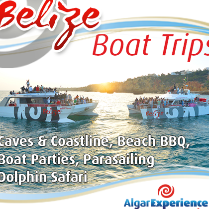 Take a cruise starting from Armação beach or Albufeira port